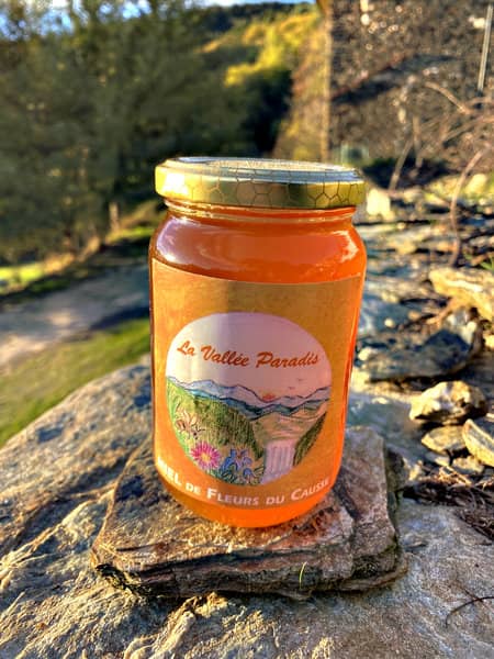 Miel de fleurs du causse Cévennes