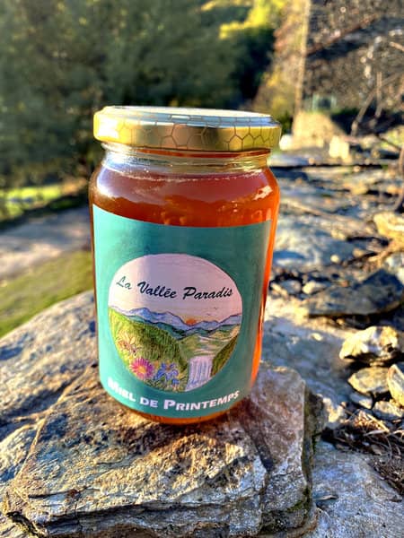 Miel de printemps