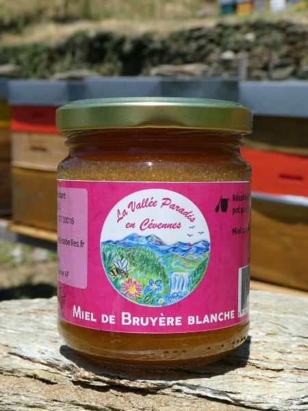 miel-de-bruyere-blanche Miel de Bruyère blanche