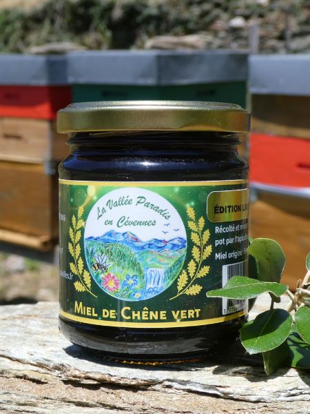 miel-de-chene-vert Miel de Chêne vert