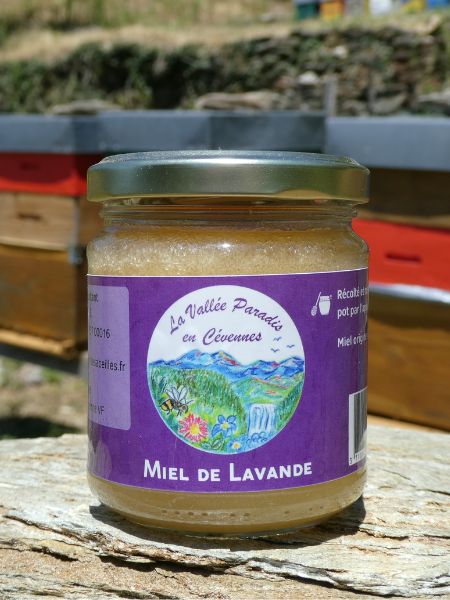miel-de-lavande Miel de Lavande